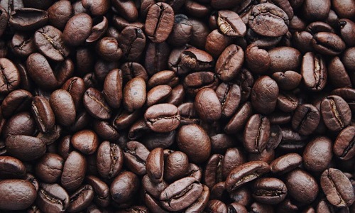 Best Coffee Shops in Kirkland, WA Cover Image